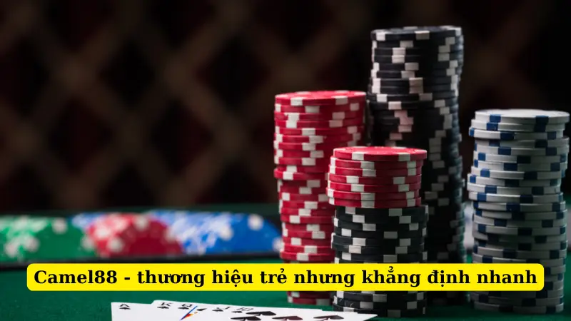 Camel88 - thương hiệu trẻ nhưng khẳng định nhanh